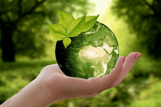  sustainability, hand holding a globe representing a green earth